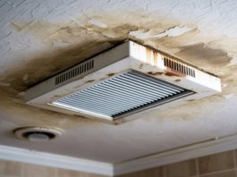 Humidité et air intérieur - décrypter les liens et protéger son intérieur